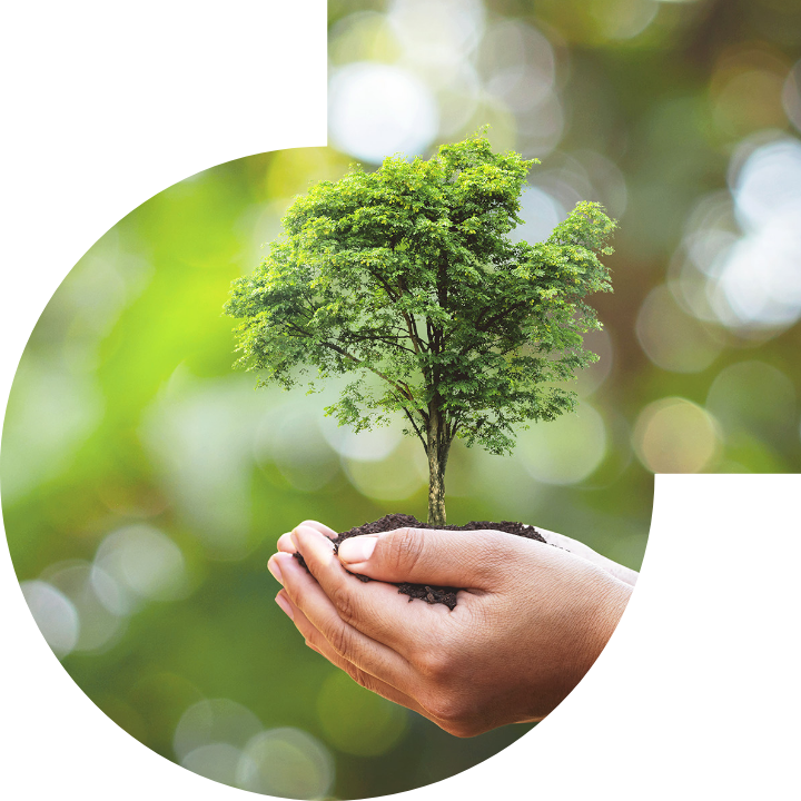 关怀人类、文化、环境与社会